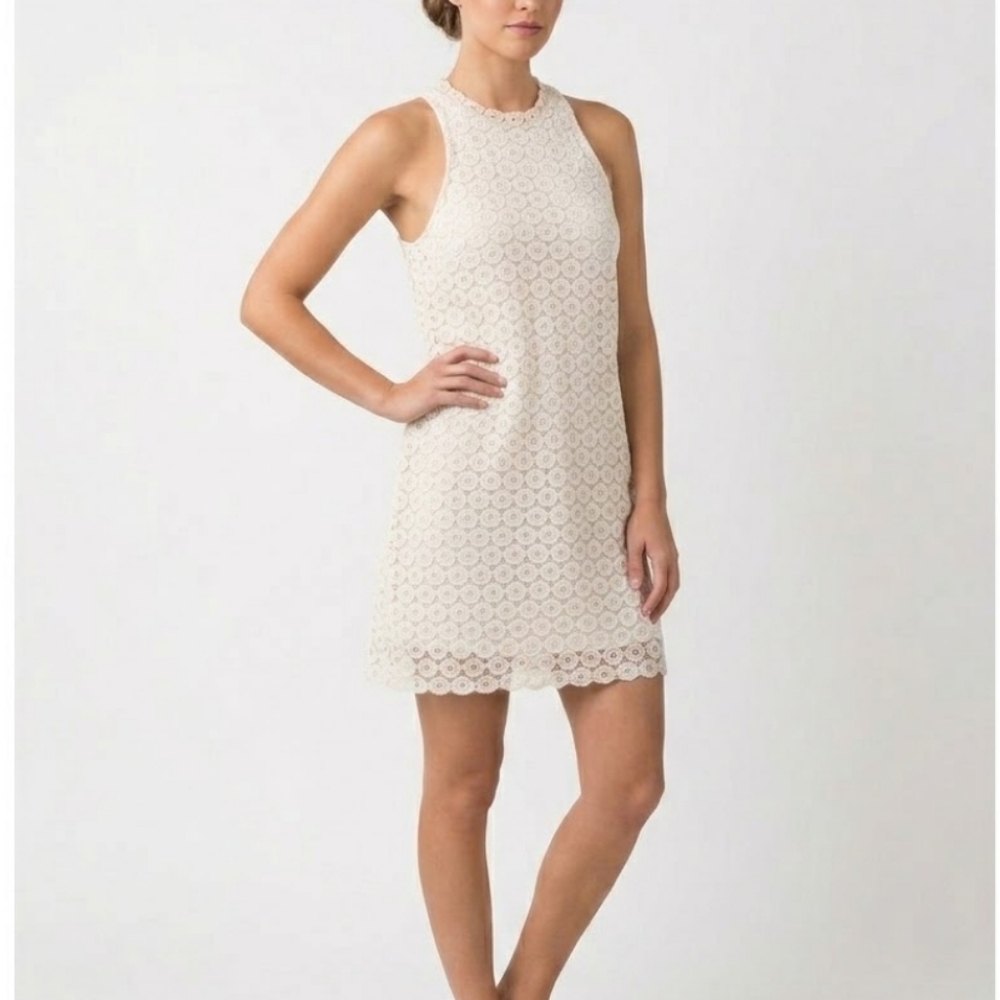 Francescas Ivory Cream Lace Overlay Halter Mini Dress S
